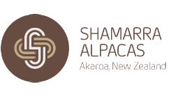 Shamarra Alpaca Farm Tour Akaroa
