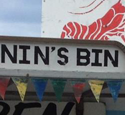 Nins Bin