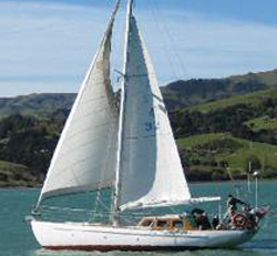 Akaroa Sailing Cruises